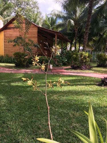 Lodge Caba�as La Fortuna Bacalar