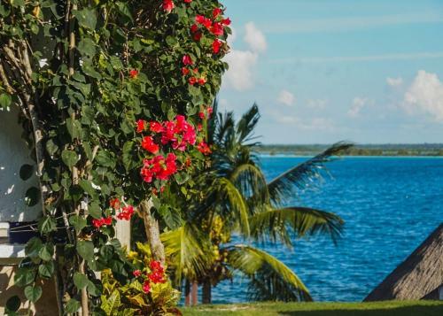 Costera 171 � Guest House
