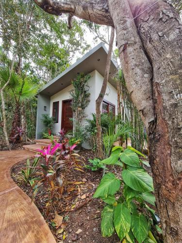 Apartamento Secret Gardens Bacalar Suite 01