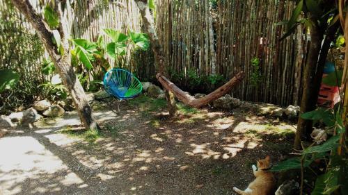 Hostal Caba�as Alma Verde
