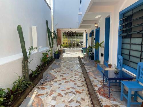 Posada Cache Bacalar