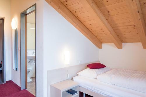 Hostal Z Aeschiried