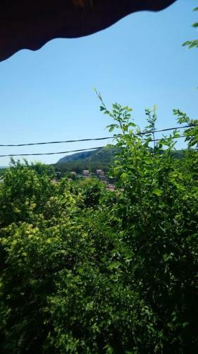 Apartamento Guesthouse Elly