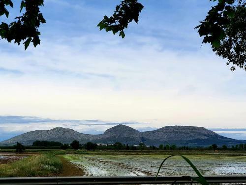 Apartamento Emporda