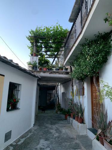 Apartamento Casita Paloma