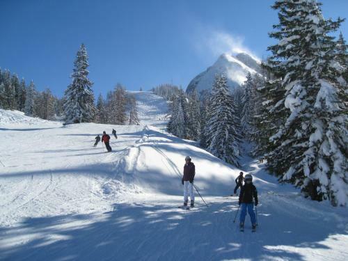 Alpenferienhaus Dachstein