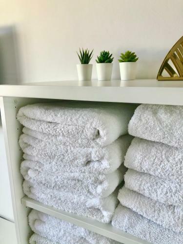 Apartamento Santa Clara