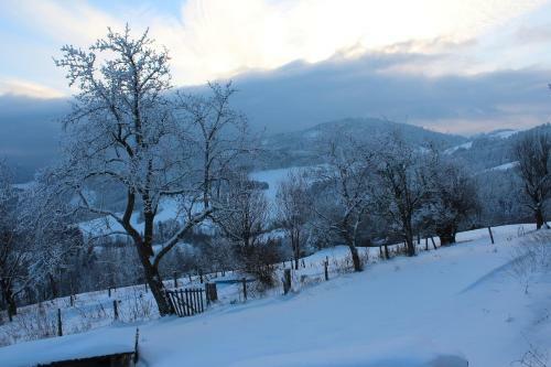 Agroturismo Hirmhof