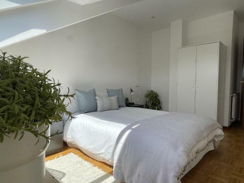 Apartamento La Terraza Del Campill�n