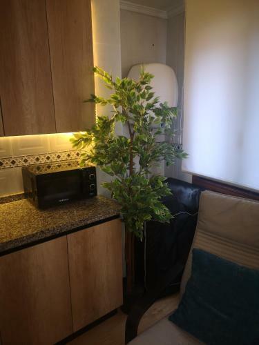 Apartamento Al Lado de La Catedral