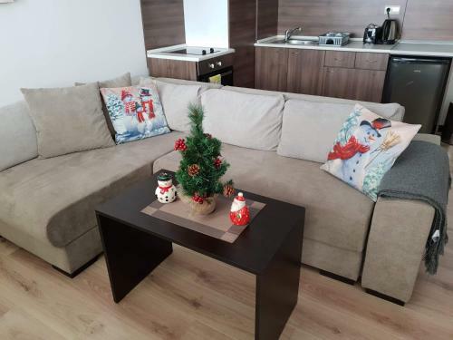 Royal Bansko Aparthotel 206d