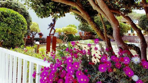 Villa Casa Con Jard�n A 45 Metros de La Playa. Es.