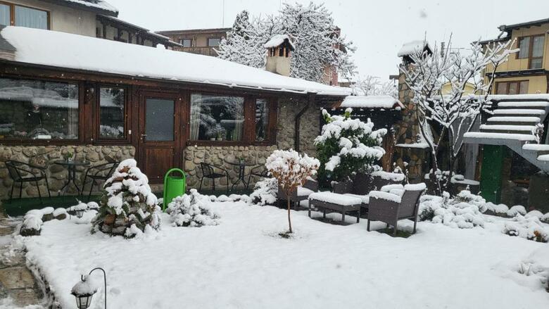 Hostal Boina House
