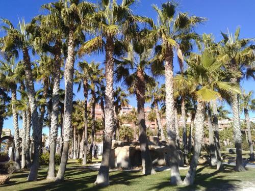 Apartamento Acapulco Ii, 1a Linea, Playa Amplaries