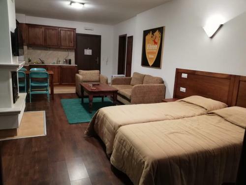 Apartamento Bansko Winslow Infinity - Studio