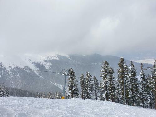 Spacious And Cosy Apartment In Bansko Royal Towers Complex