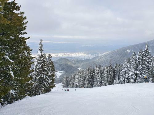 Spacious And Cosy Apartment In Bansko Royal Towers Complex