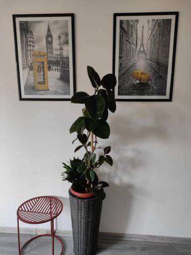 Apartamento Cozy Studio Cik-cak