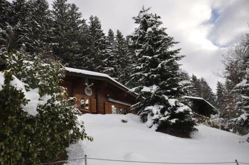 Chalet Edelweiss