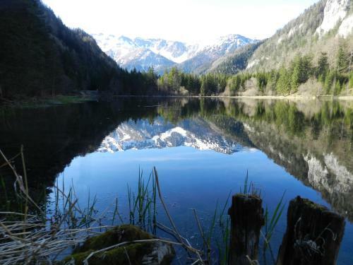Bed & Breakfast Alpengasthof Schuster