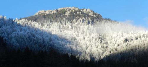 Bed & Breakfast Alpengasthof Schuster