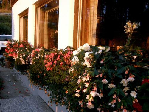 Hotel Garni G�stehaus Karin