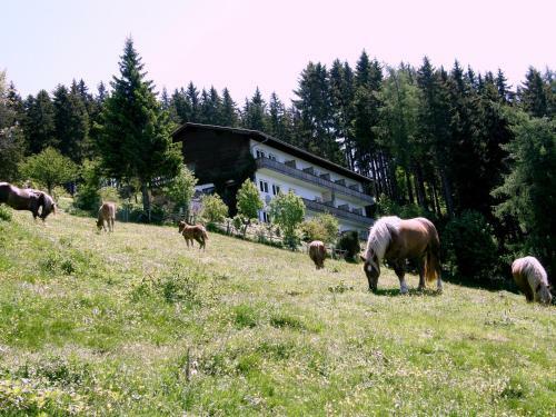 Hotel Garni G�stehaus Karin
