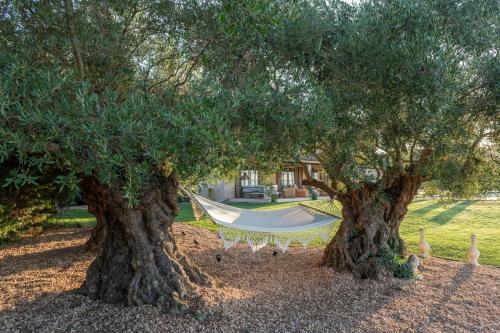 Bed & Breakfast Can Casi House Farm