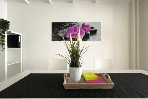 Modern Apartment In A Charming Old Town Setting