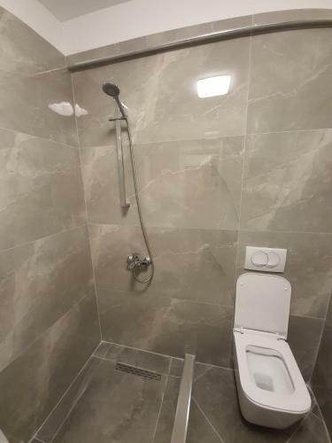 Modern Apartment Korca