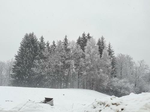 Villa Berghaus Edelhirsch