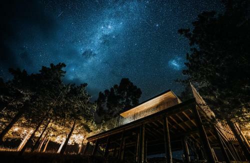 Apartamento Nest Treehouses
