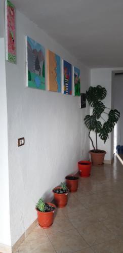 Agroturismo Antonio's Rooms (2 Single Beds)