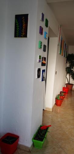 Agroturismo Antonio's Rooms (2 Single Beds)