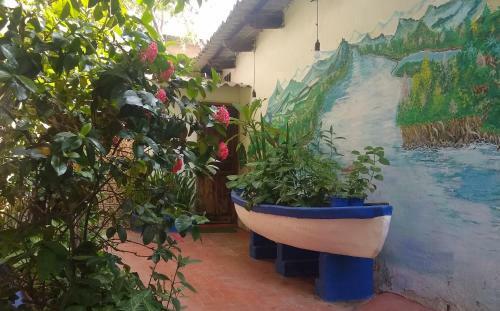 Casa Magua