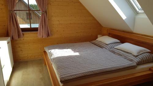 Apartm�ny Ple?ivec