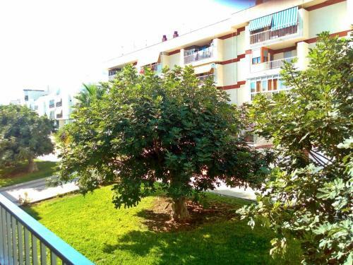 Hostal Wonder Rooms Nerja Guest House