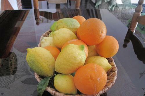 Cortijo Luque