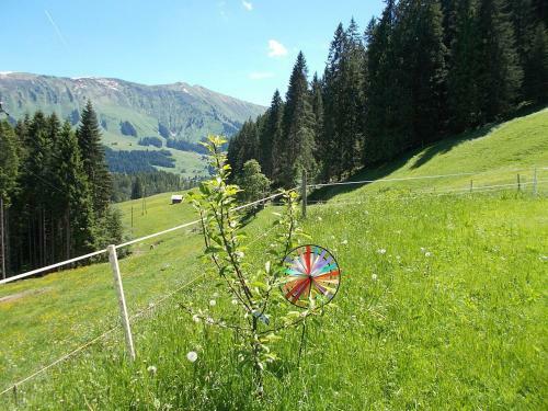 Apartamento Berghof Felder