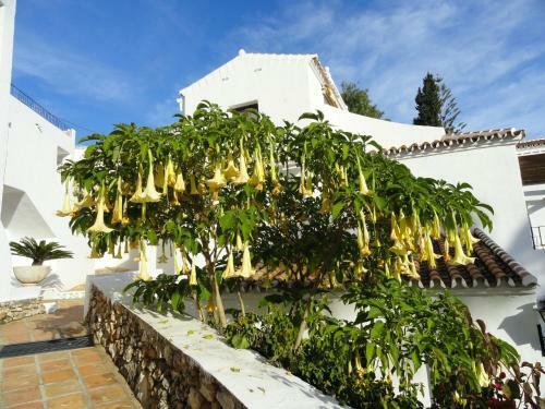 Apartamento Capistrano Playa Relax & Enjoy