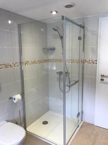 Apartamento Gite D'hotl�s