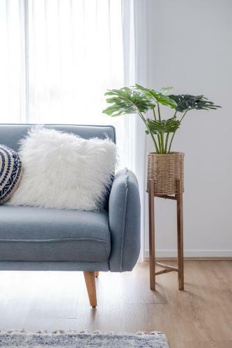 Pet Friendly Dicky Beach Home