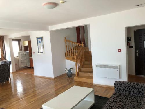 Boss Apartment