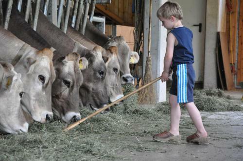 Agroturismo Hof Erath