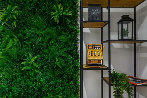 Apartamento ?????? ?????