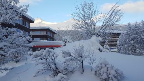 Apartamento Chalet Waldperle