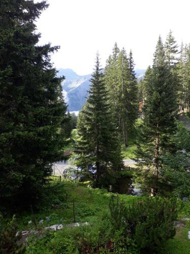 Apartamento Chalet Baur
