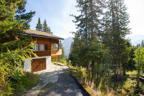 Chalet Soldanella
