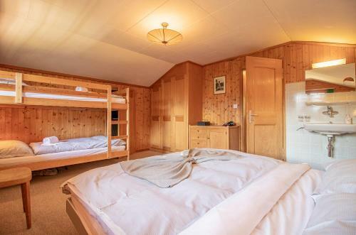 Chalet Soldanella