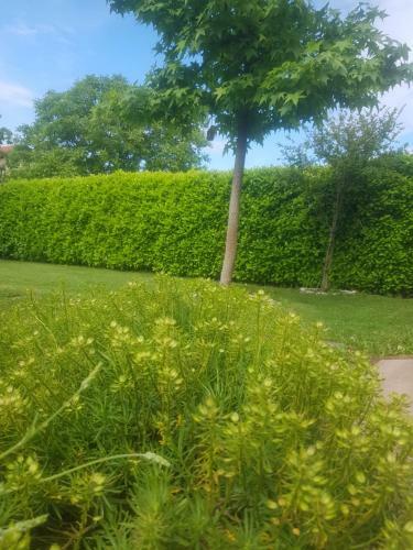 Apartman Corluka Grude